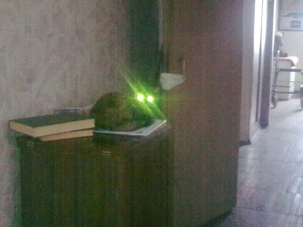 Александр Мальчихин