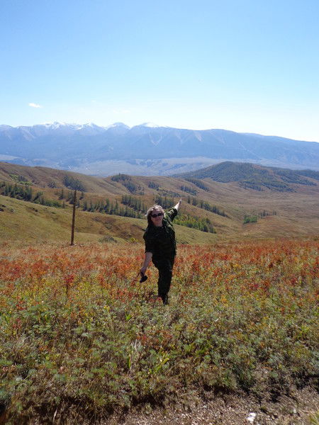 Ажар Омарова