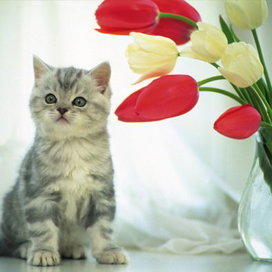 Ольга Сигитова