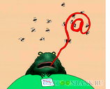 🖼