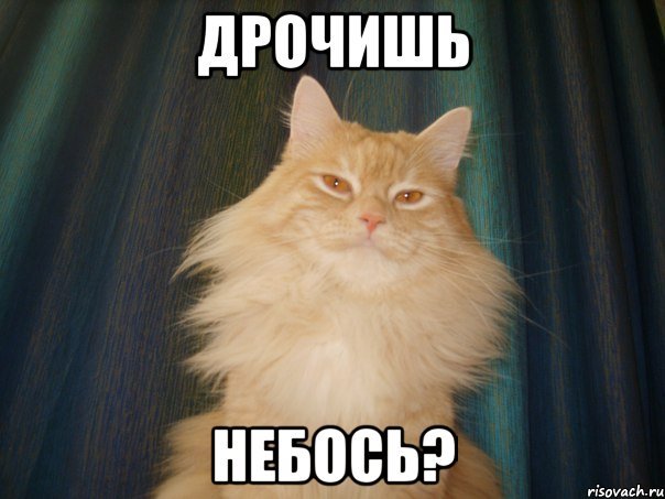 А Я Знаю Что Ты Дрочишь Вк А Я Знаю Что Ты Дрочишь Вк