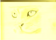 🖼