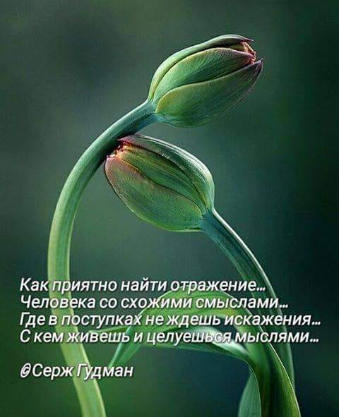 Спрашивалка