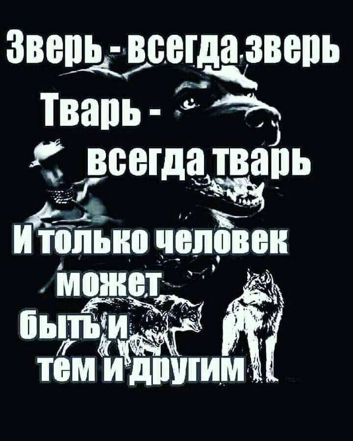 Всегда животных. Зверь всегда зверь тварь всегда тварь. Бог зверь кто ты тварь.