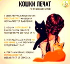 🖼