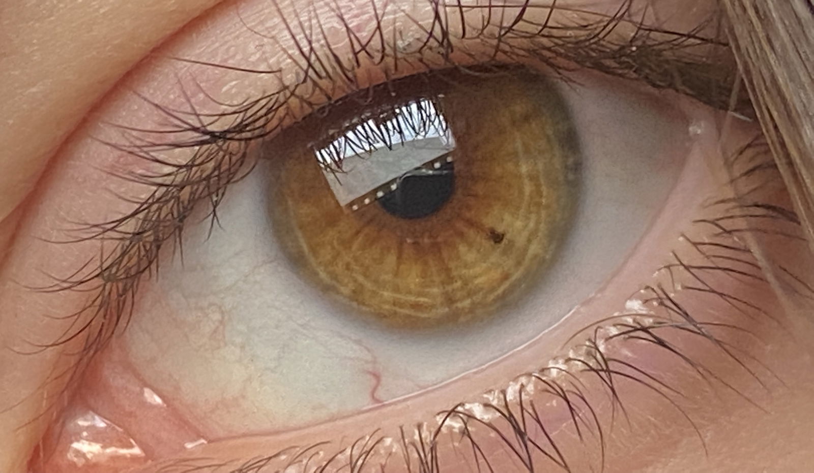 янтарный цвет глаз. глаза цвета виски какой год. глаза цвета виски какой год. темный янтарь глаза. наталья ветлицкая глаза цвета виски.