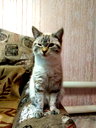 🖼