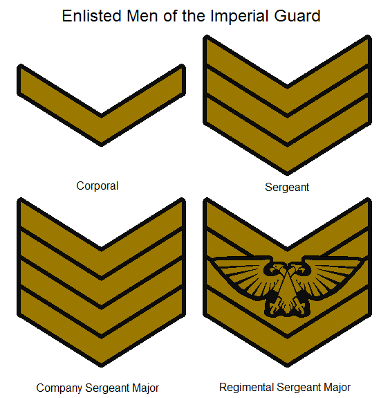 Ранги в вархаммер 40000. Криг вархаммер arma 3. Имперская гвардия вархаммер. Warhammer 40000 полки имперской гвардии. Warhammer 40000 звания в имперской гвардии.