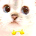 🖼