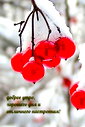 🖼
