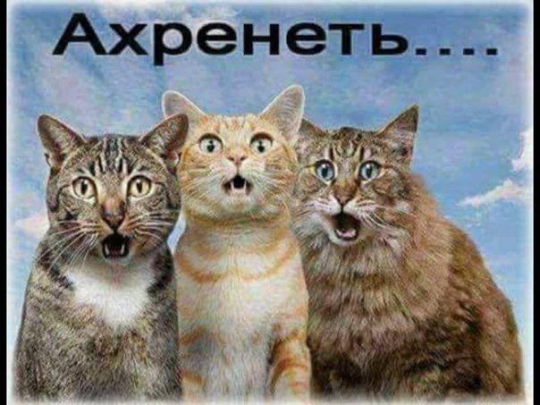 Однажды Петр и Феврония, в честь которых был провозглашен день семьи и ...