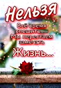 🖼