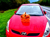 🖼