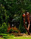 🖼