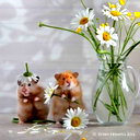 🖼