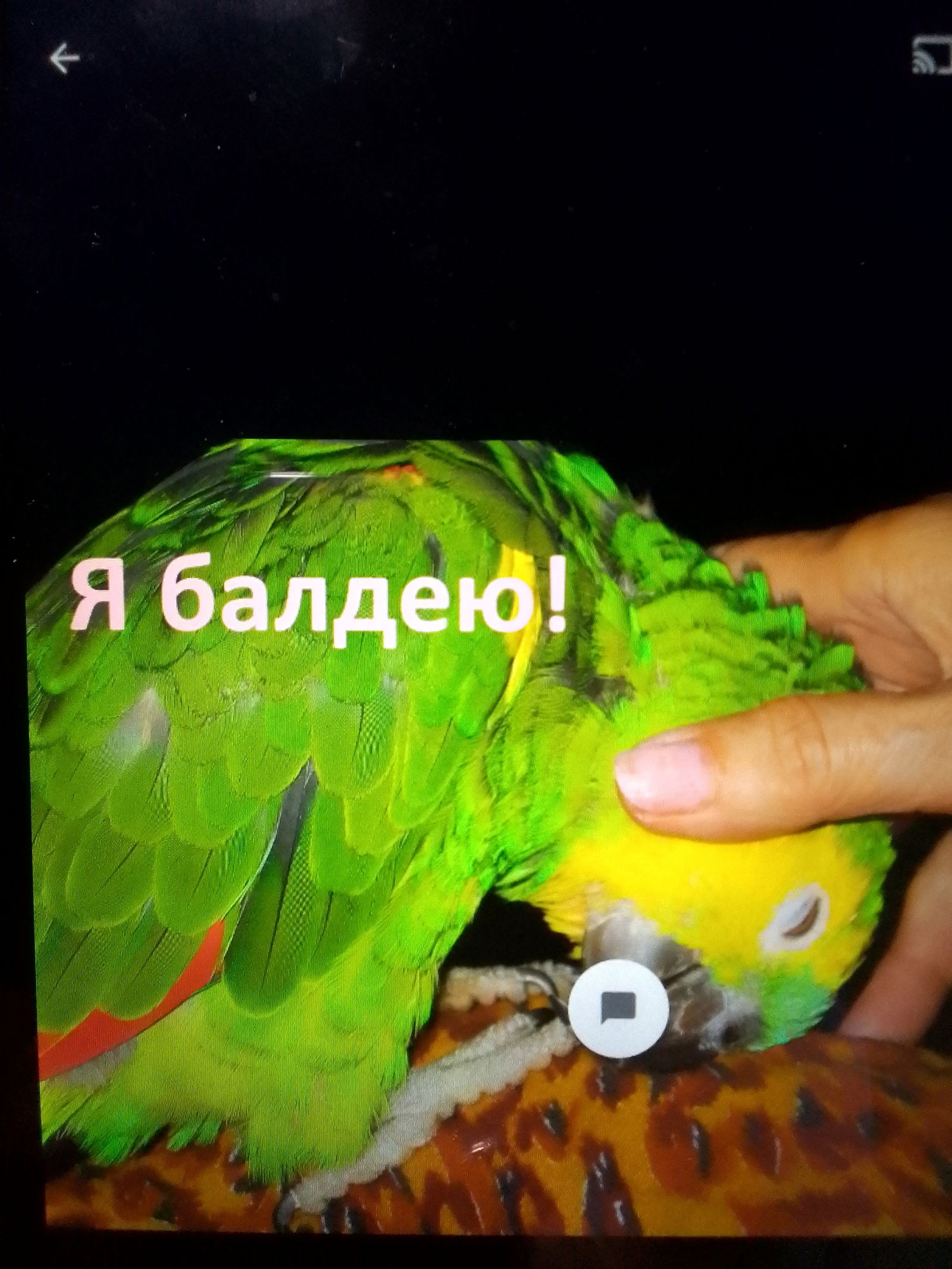 У мя Кот-настоящая усатая сволочь! Давеча на рабочий стол установил ...