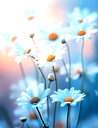 🖼