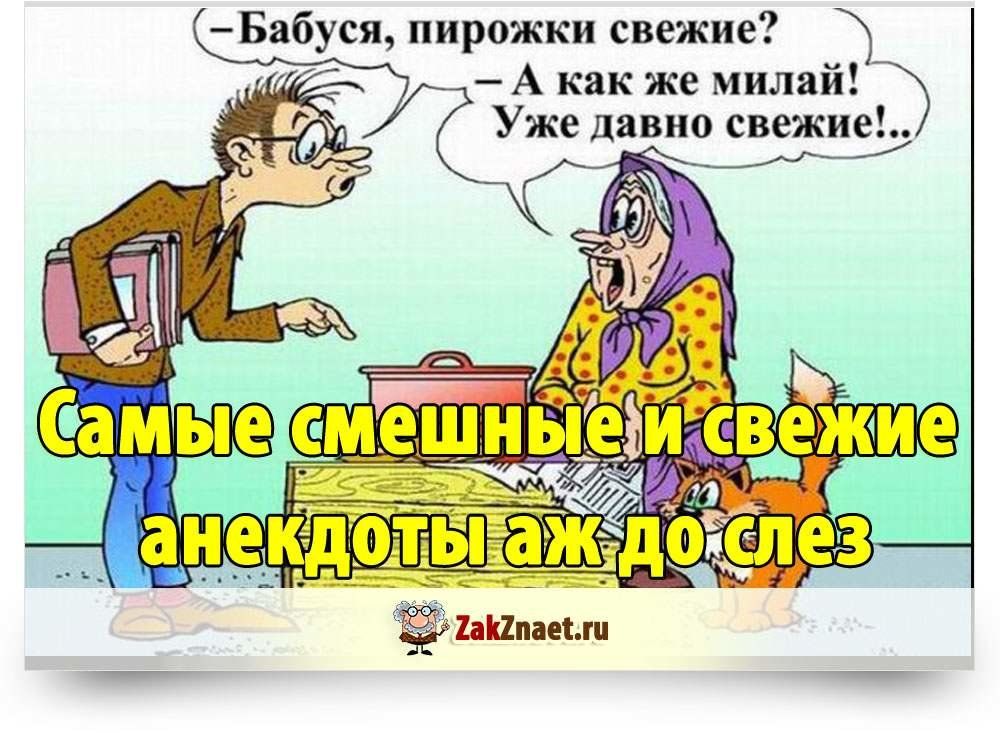 Видео картинки с анекдотами