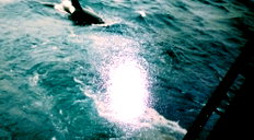 🖼