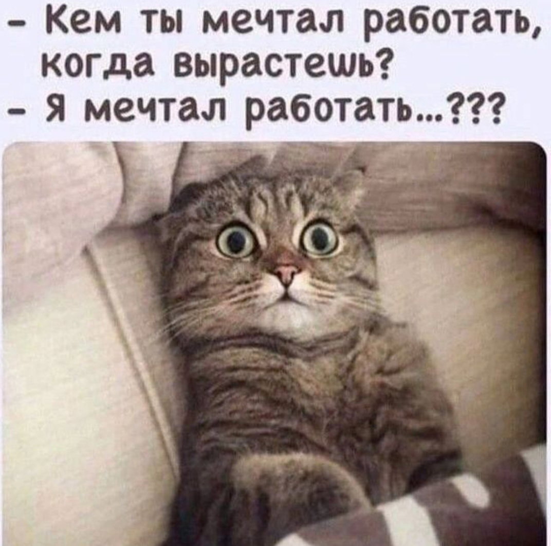 Попец которого нам не хватало на экранах