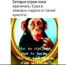 🖼