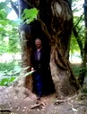 🖼
