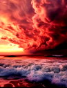🖼