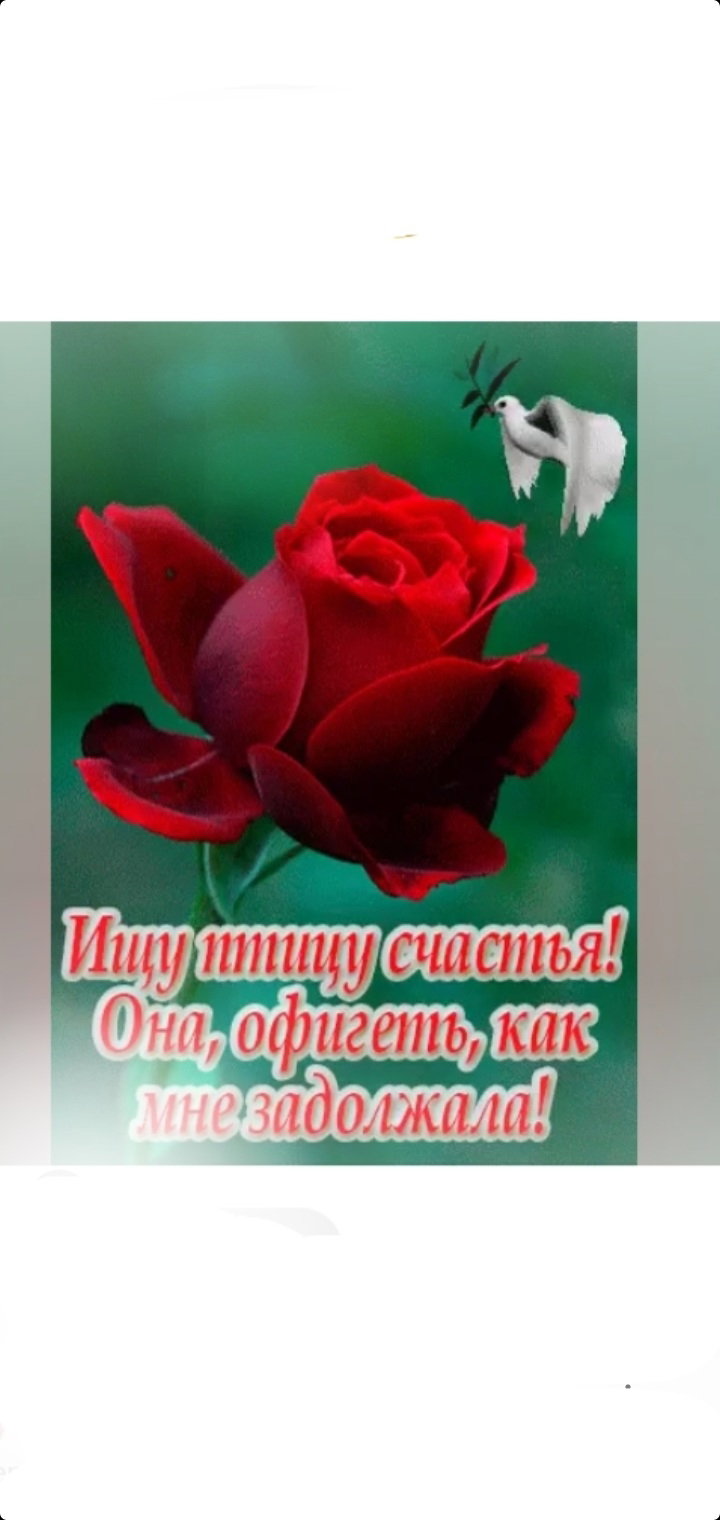 Спрашивалка