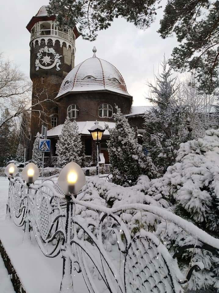 Светлогорск фото зимой