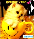 🖼