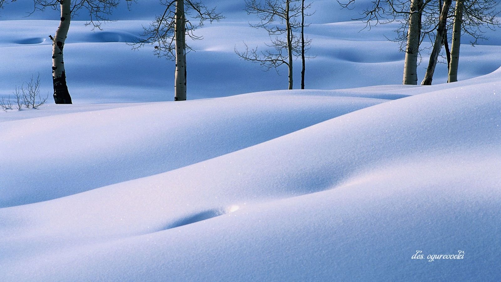 Явления природы снег
