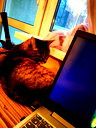 🖼