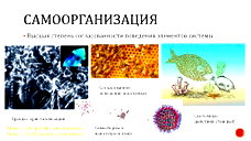 🖼
